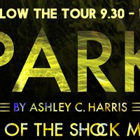 Sparks by Ashley C. Harris – Review, Meet the Author, & More