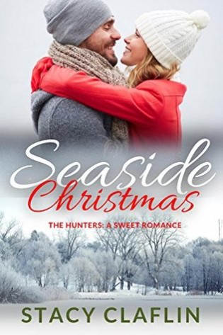 Blog Tour: Seaside Christmas by Stacy Clafin