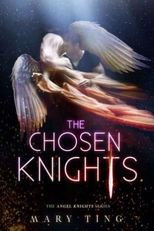 Cover Reveal: The Blessed Knights by Mary Ting